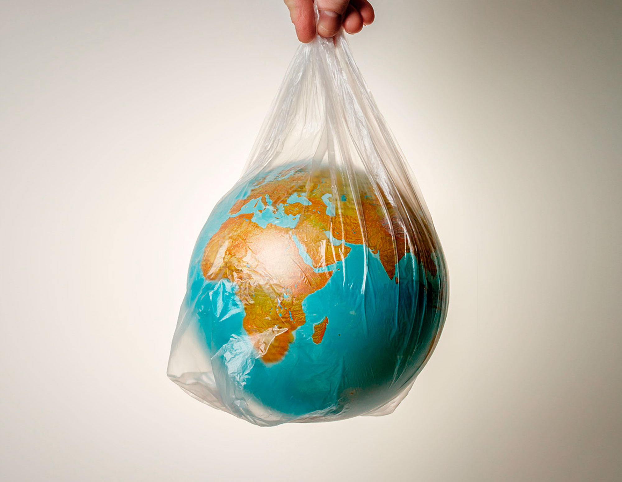 Medio Ambiente